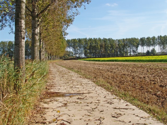 foto omgeving